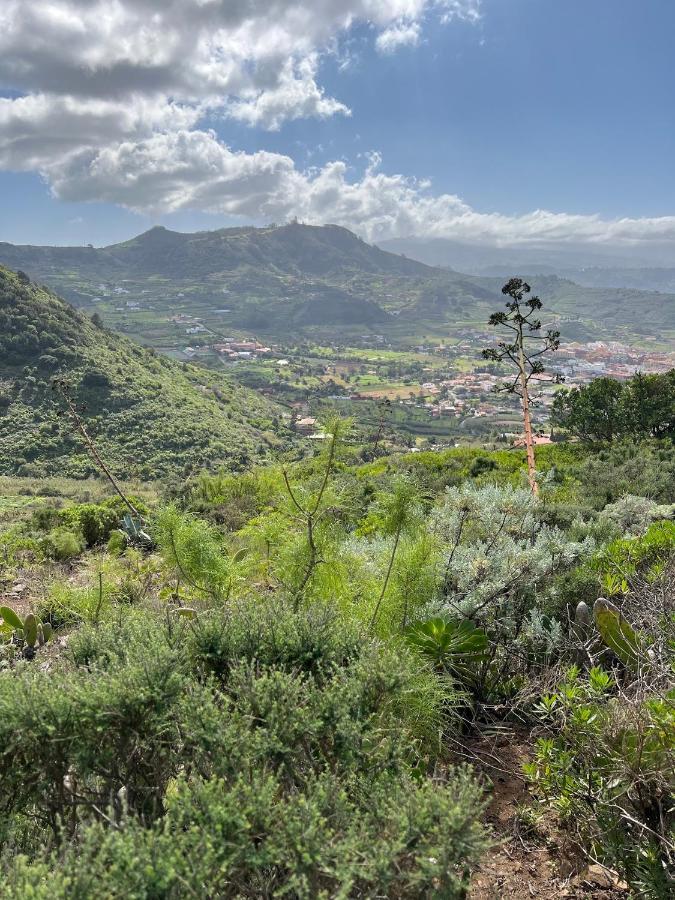 Apartamento En Bajamar -Tenerife Exteriör bild